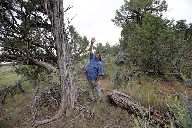 Tribes get say in land management but worry about Trump | iNFOnews.ca