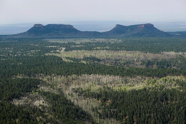 Lawsuits over new Utah monument to test president's power | iNFOnews.ca