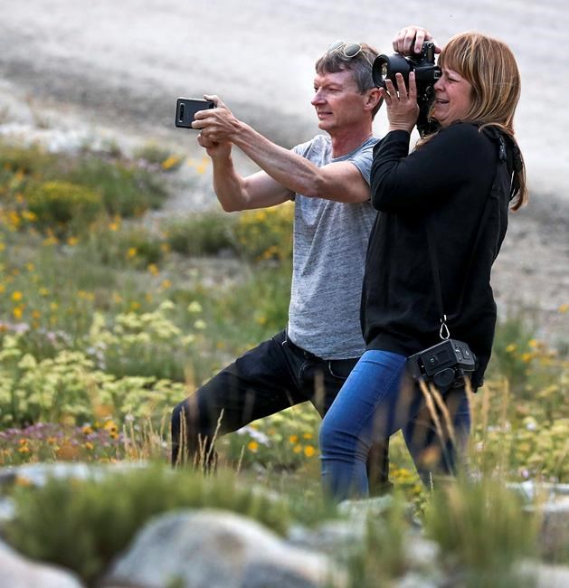 Photographers upset over fees to shoot at Albion Basin | iNFOnews.ca