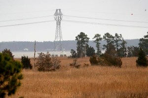 CP868368884