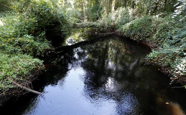 250 years after Washington drained it, feds soak a swamp | iNFOnews.ca CP421482566