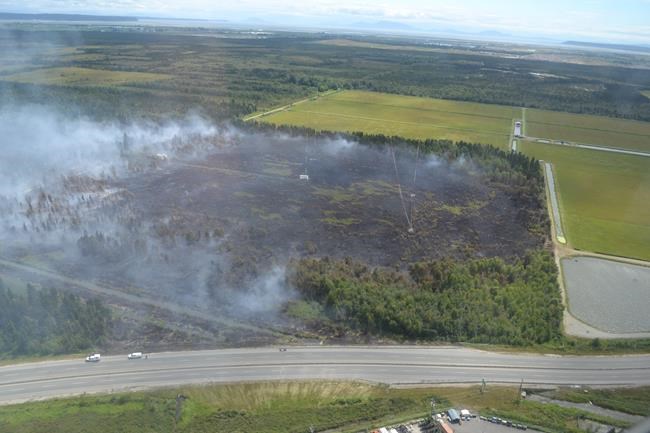 Half of B.C.'s Burns Bog fire contained, but most of will regenerate: society | iNFOnews.ca CP1631964795