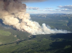 CP29066063