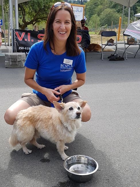 B.C. man charged with animal cruelty after dog nearly dies of fleas | iNFOnews.ca