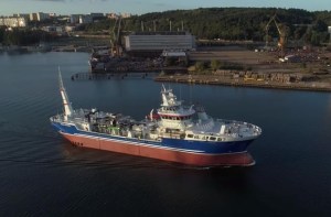 CP413230623