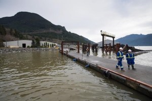 CP289818317