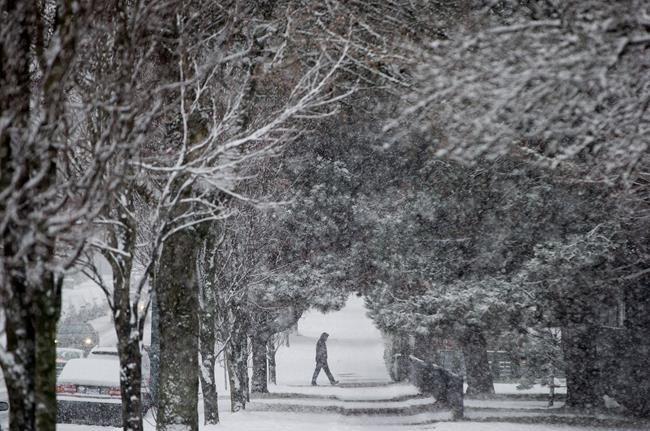 Snow in normally southern B.C., but usual rain expected to join in | iNFOnews.ca CP1847346383