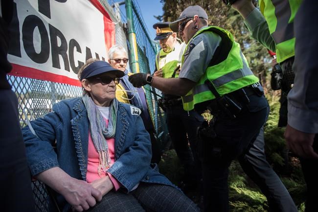 RCMP move to arrest pipeline protesters at entrance to Trans Mountain work site | iNFOnews.ca CP539694334
