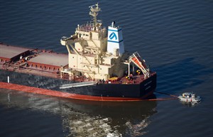 CP32623151