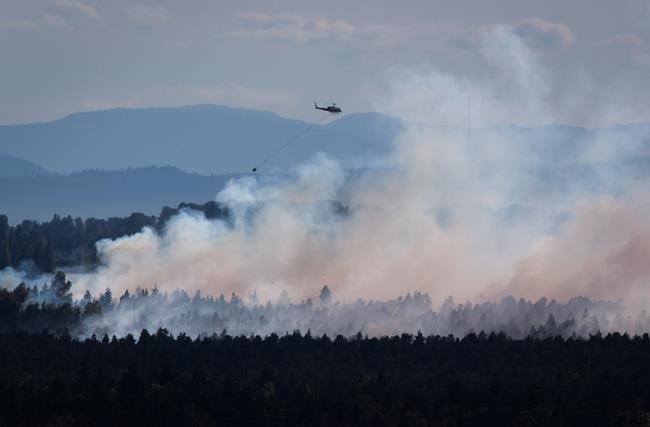 Provincial crews called in to help battle wildfire near Delta, B.C. | iNFOnews.ca CP903986767