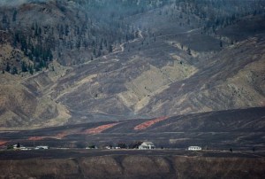 CP1001147985