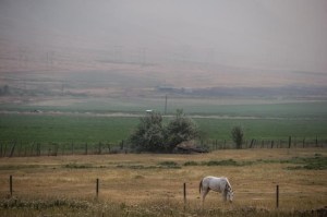 CP256936200