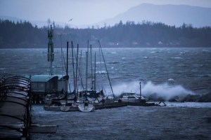 CP285805654