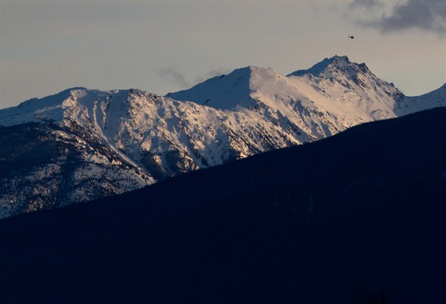 B.C. chief coroner expects to know cause of deadly avalanche that killed five | iNFOnews.ca CP36223783