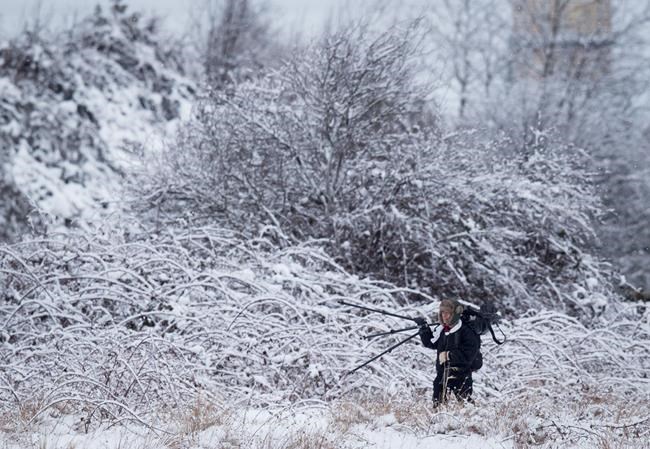 Blast of winter smashes snowfall records in Abbotsford, Vancouver | iNFOnews.ca CP257419653