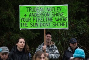 CP544230334