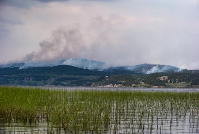 Rainfall, cooler temperatures bring some relief in wildfire-ravaged B.C. | iNFOnews.ca CP360612609