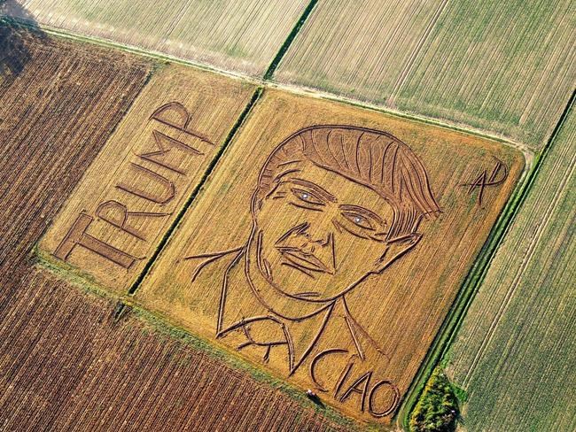 Artist mows giant Trump portrait in Italian cornfield | iNFOnews.ca CP1950507157