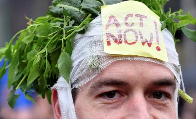 Coal question looms large as climate talks begin in Poland | iNFOnews.ca CP1150016421