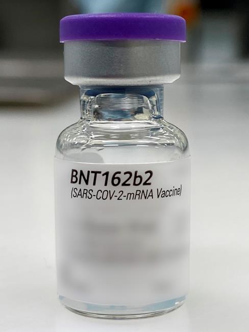 Belgium looks to launch limited vaccine campaign in January | iNFOnews.ca