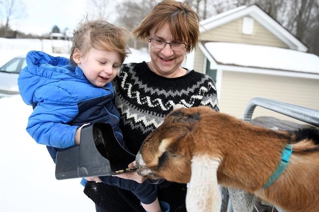 A nanny state? Vermont town elects goat as honorary mayor | iNFOnews.ca CP1708313060