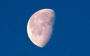 CP226213585