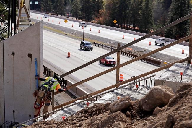 Washington state builds bridge to keep wildlife off highway | iNFOnews.ca Washington state builds bridge to keep wildlife off highway | iNFOnews.ca