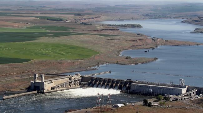Environmental groups want work halted on Snake River dams | iNFOnews.ca