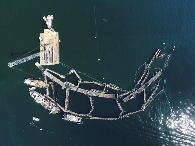 CP2056221808
