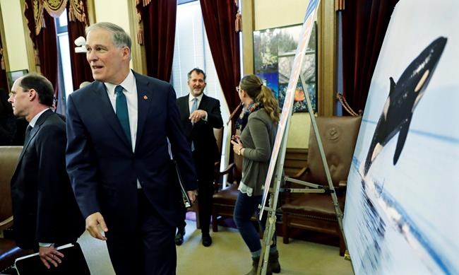 Washington governor proposes major steps for orca recovery | iNFOnews.ca