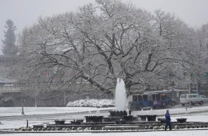 CP1155951508