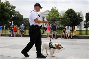 Dogs on patrol: Secret Service deploys canines to sniff out threats around White House grounds | iNFOnews.ca CP29076324