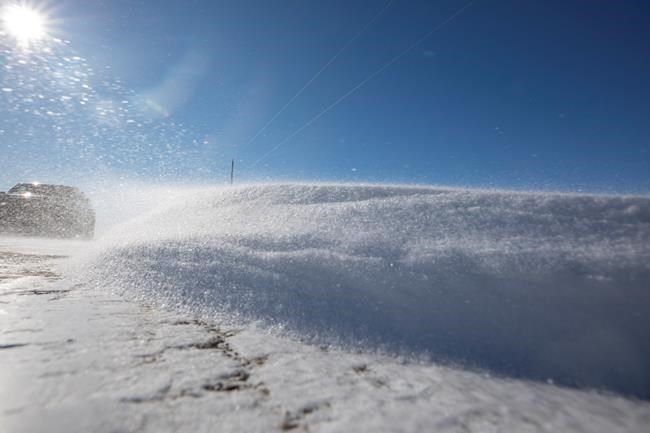The Latest: Woman, 90, dies feeding birds in extreme cold | iNFOnews.ca