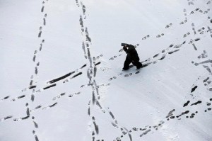 CP1578869242