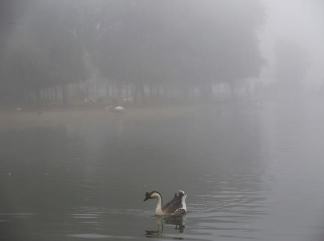 Fog engulfs parts of United Arab Emirates, delaying flights | iNFOnews.ca Fog engulfs parts of United Arab Emirates, delaying flights | iNFOnews.ca