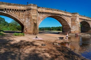CP1971579819