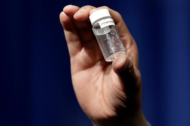 Watchdog finds DEA was 'slow to respond' to opioid epidemic | iNFOnews.ca