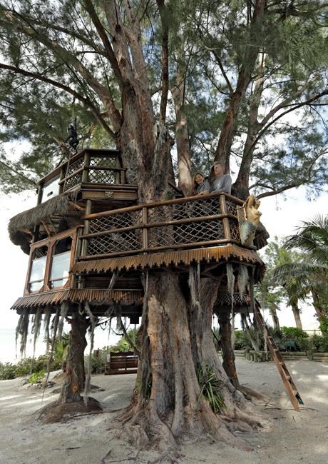 Supreme Court won't take Florida couple's treehouse dispute | iNFOnews.ca Supreme Court won't take Florida couple's treehouse dispute | iNFOnews.ca