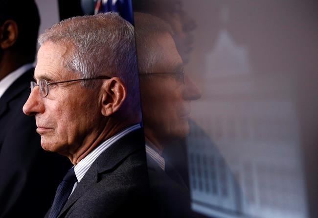 Fauci: 'We're not there yet' on key steps to reopen economy | iNFOnews.ca