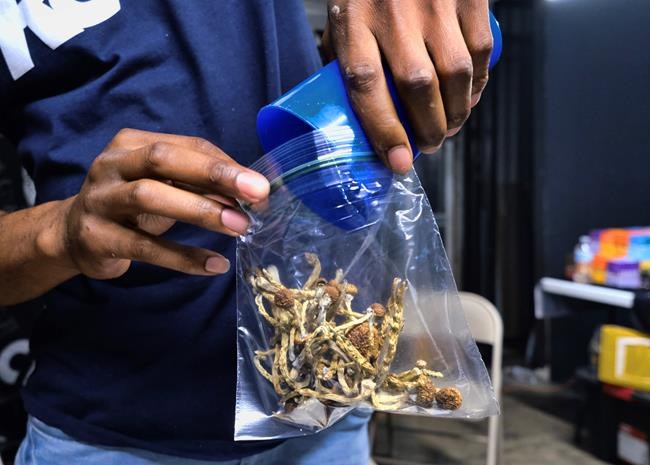 Activists seek to decriminalize 'magic' mushrooms in DC | iNFOnews.ca