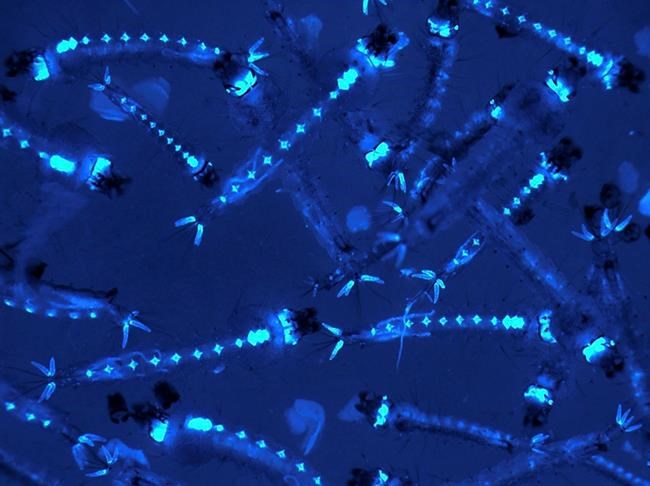 10 Things to Know for Friday | iNFOnews.ca