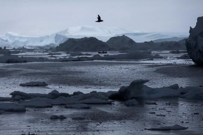 Arctic's year of crazy extremes as warming hits overdrive | iNFOnews.ca Arctic's year of crazy extremes as warming hits overdrive | iNFOnews.ca