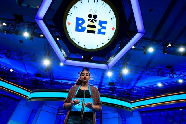 B-I-G time: Wild cards send spelling bee field above 500 | iNFOnews.ca