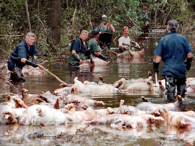 Florence could flood hog manure pits, coal ash dumps | iNFOnews.ca Florence could flood hog manure pits, coal ash dumps | iNFOnews.ca