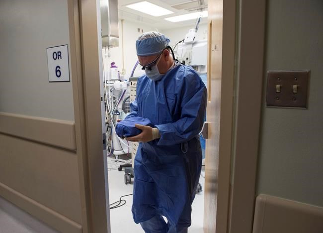 First step to help preserved organs survive the deep freeze | iNFOnews.ca