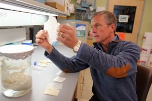 Regrowing muscle: Experimental implant plus exercise coaxes growth in injured leg muscles | iNFOnews.ca CP28200362