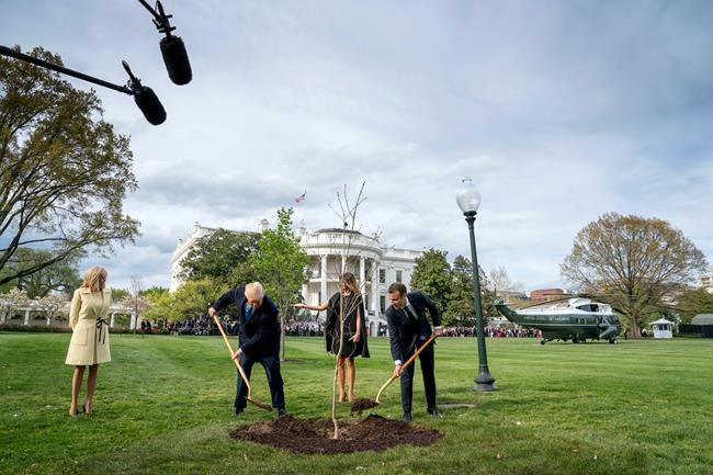 Trump-Macron tree faces at least 2 years in quarantine | iNFOnews.ca
