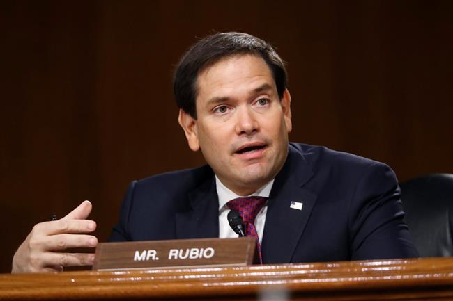 Rubio steps in to lead Senate Intelligence Committee | iNFOnews.ca