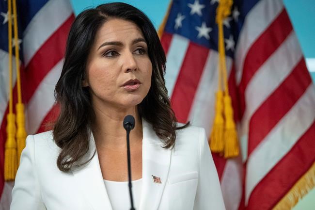 3rd-party bid? Gabbard's denials don't ease Democrats' fears | iNFOnews.ca