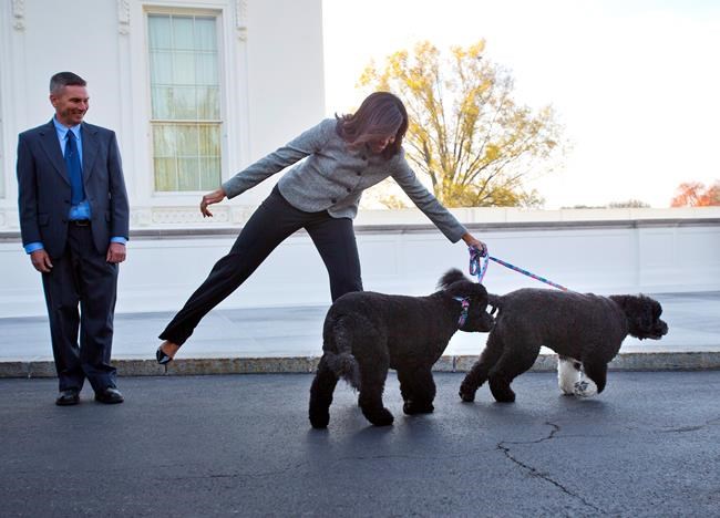Hardly a dog's life for Obama's pets Bo and Sunny | iNFOnews.ca Hardly a dog's life for Obama's pets Bo and Sunny | iNFOnews.ca